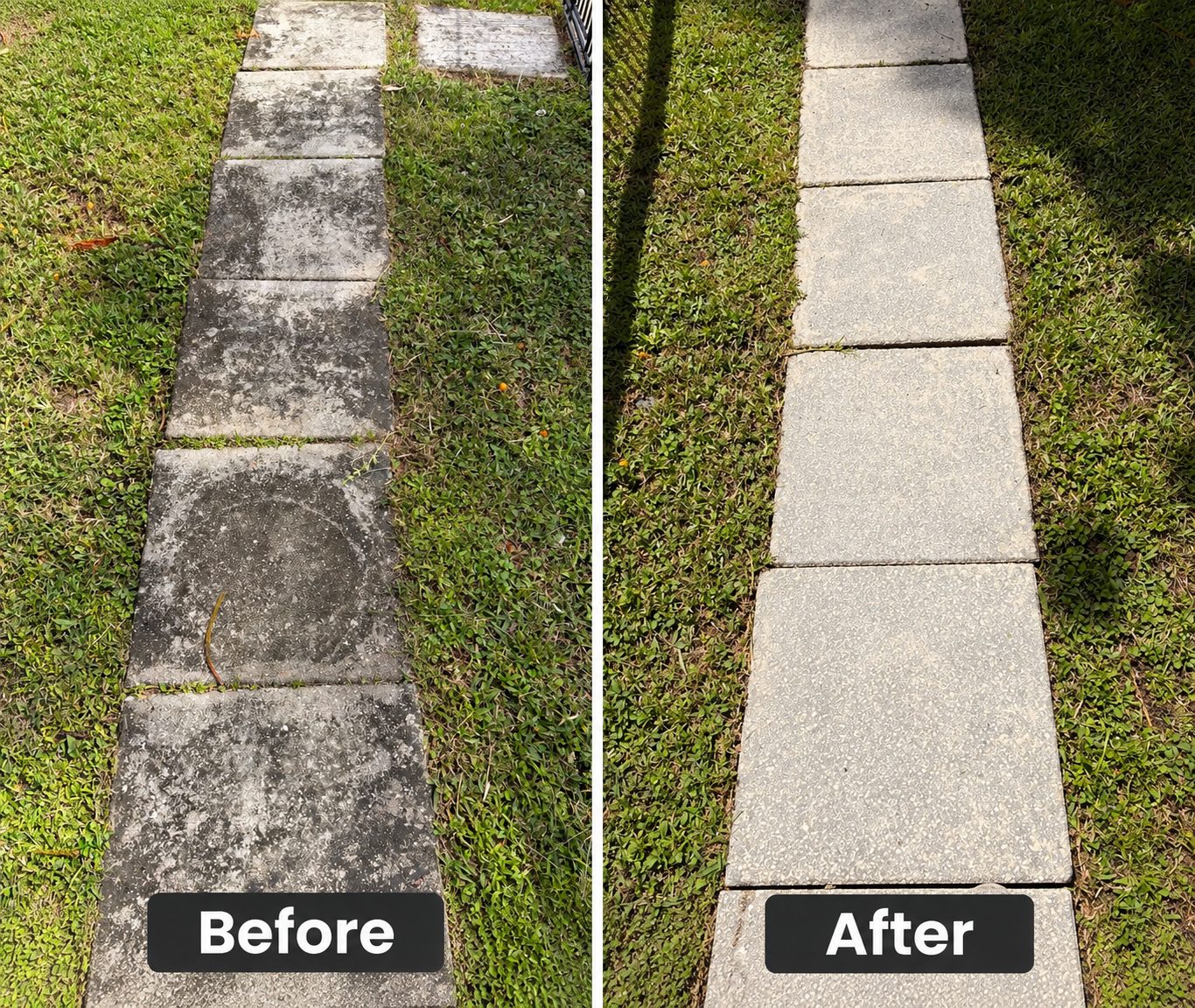 Before and after cleaning a paver walkway covered in moss and algae in Port Charlotte, Florida